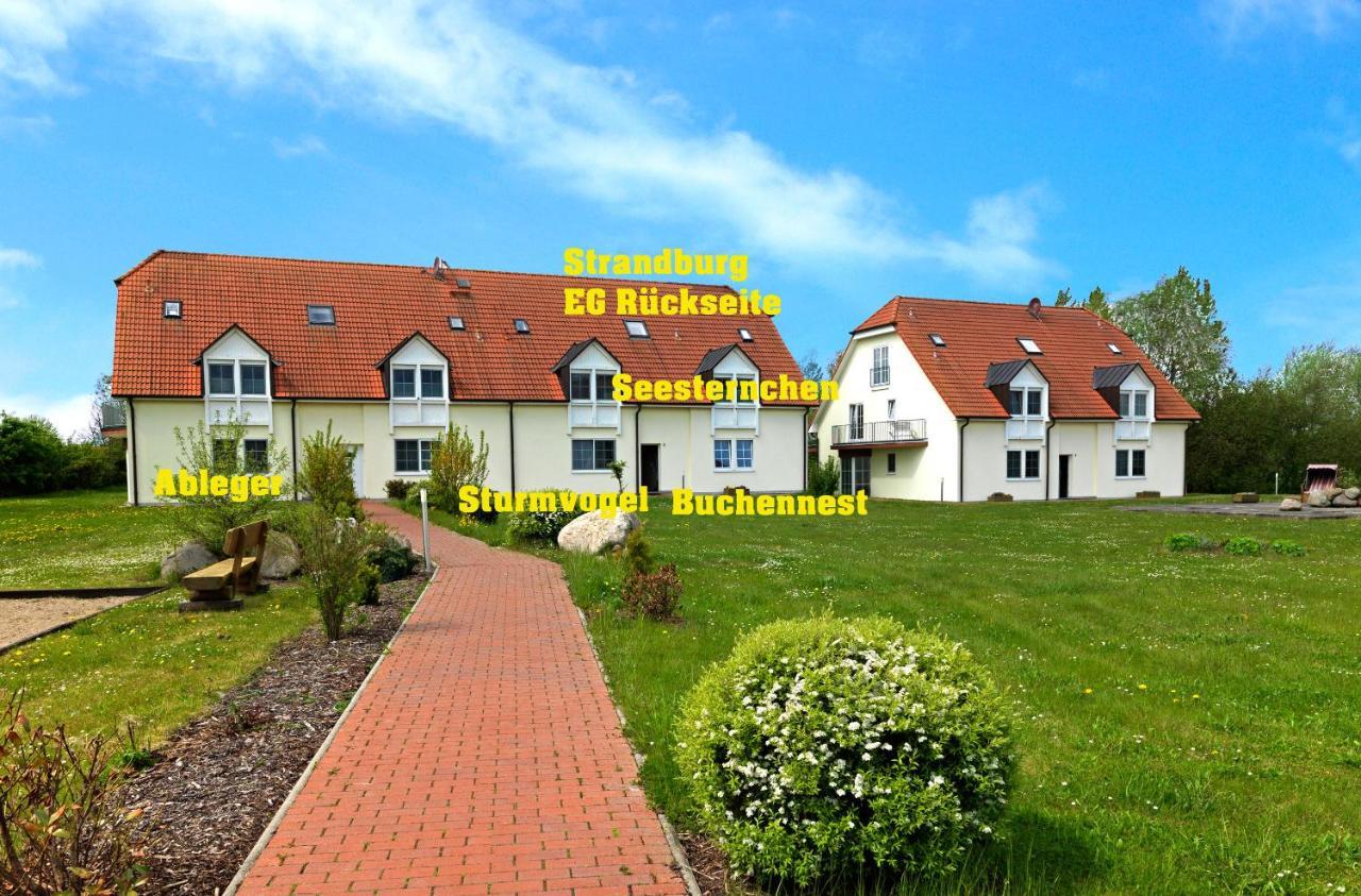 Gollwitzer Park Oase Appartement Insel Poel Buitenkant foto