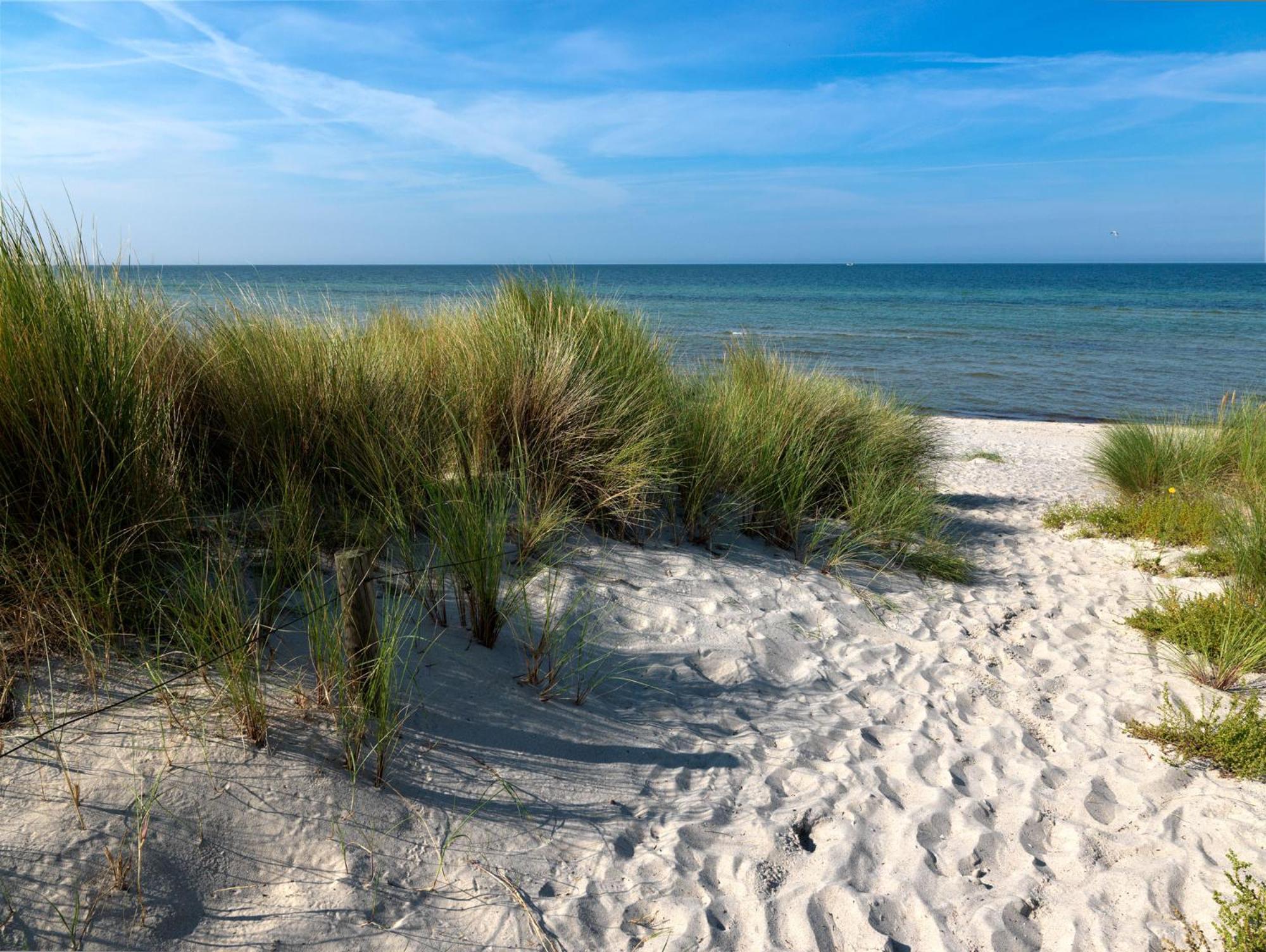 Gollwitzer Park Oase Appartement Insel Poel Buitenkant foto