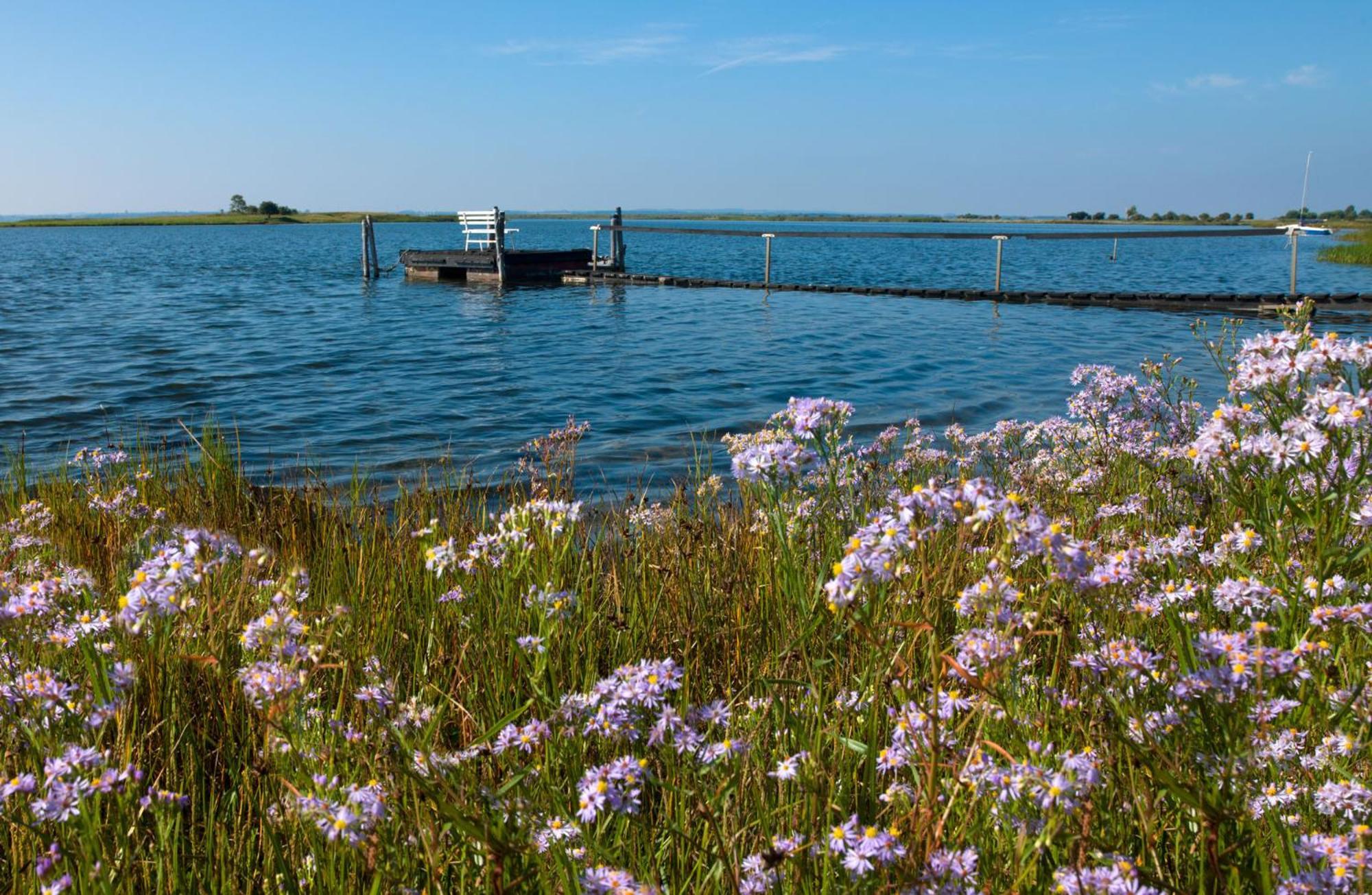 Gollwitzer Park Oase Appartement Insel Poel Buitenkant foto